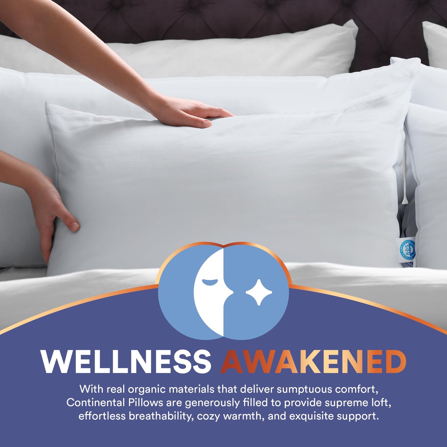 Continental Bedding 100% Siberian Goose Down Pillow 800 Fill Power, Firm, King, White