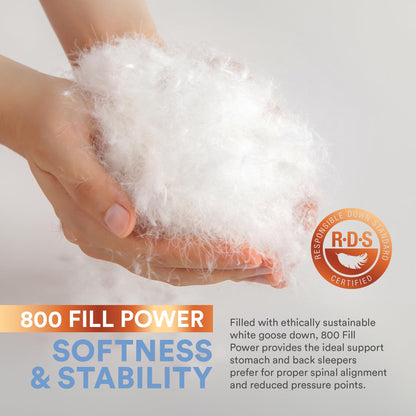 Continental Bedding 100% Siberian Goose Down Pillow 800 Fill Power, Firm, King, White